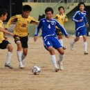 광탄중학교 이미지