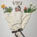 더베이비드레스룸 | [일상] 조카 50일 셀프촬영 후기_더베이비드레스룸 '꽃밭에서' 내돈내산(대여 구성품, 소품 배치 tip❗️)