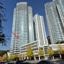 분당-210 이미지