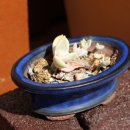 고산민박 이미지