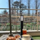 카페아리아 이미지