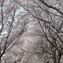 보청천 옥천-13 이미지