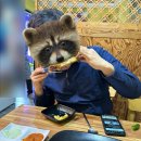 노송족발앤철판