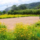 평촌보건진료소 이미지