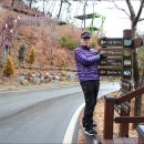 제암산자연휴양림 더늠길 이미지