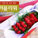 세아꽃집 - 동두천시 큰시장로 64 | 세아꽃집