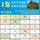 1월 19일 한국의 탄생화 / 리기다소나무 등 외산소나무 이미지