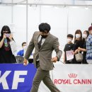 스타덤 펫살롱 이미지