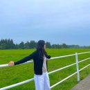 제주스럼 | 제주도 동쪽숙소 포니제주 조천 펜션 제주스럼