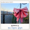 펌프노래방 | 청도 노래방있는 독채 청도 타임리스 풀빌라펜션