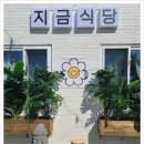 지금식당 - 중구 | 지금식당
