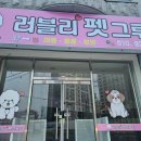 러블리펫그루밍 이미지