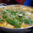 펜션티케하우스 | 강릉팬션 추천 티케하우스 마무리 / 강릉 테라로사와 주문진항 횟집에서의 시간