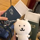 국제 세탁소 | 인천국제공항 제1여객터미널 외투 및 짐들 맡기는 방법 <코트프리> 사용 후기