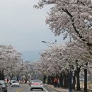 아라커피 - 제주시 구산로 3 | 아라커피