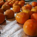 구룡농장 이미지