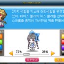 메이플커스텀