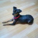 내당네거리 이미지