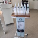 쎄이헤어 이미지