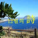 어느오후