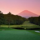 태평양 금호 이미지