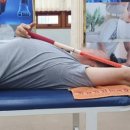 닥터 메포츠 이미지