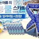 신주례태권도2 이미지