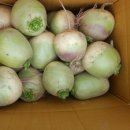 무주반디농장 이미지