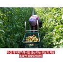 경수농장 이미지