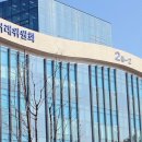 엠브이지 이미지