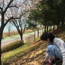 청석한의원 이미지