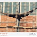 날개 - 수원시 팔달구 정조로 800-4 | 날개