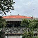 취권 | 제주 한달살기 아이랑 18일차 :) 제주한면가 / 취권 / 함덕 빽다방