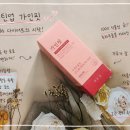 가인김밥 | 녹차 다이어트 루틴업 가인핏 2주 관리 후기