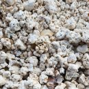 270-2581 | 우도에서 일주일살이(1)