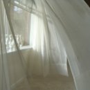 하얀클린 이미지