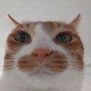 동현카서비스 | 무대가 열리고 극이 시작되면