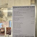 고양이사랑채 이미지