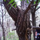 부동목장 이미지