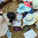빛가람 유아숲체험원 이미지