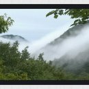 바람이 머무는 곳 이미지