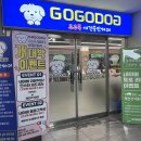 [원주 카페] 단구동 상주견도 있는 실내 애견동반카페_&lt;고고독&gt;