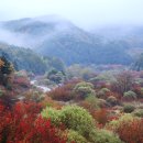 상고대 핀 인제 비밀의 정원 이미지