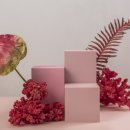 디자인비바