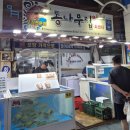 4공단로-42 | 제주도 3박4일 가족여행 코스 추천 서귀포 자유여행 일정 경비 총정리