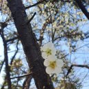 염창소공원 이미지