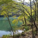 궁지골농원 이미지