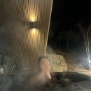 어우름스파애견펜션 | 산청 앤더포레 내돈내산 독채 스파펜션 후기, 바베큐 포함 , 애견동반 숙소