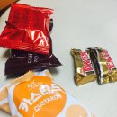 척추안정화연구소