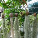 상동호수공원 이미지